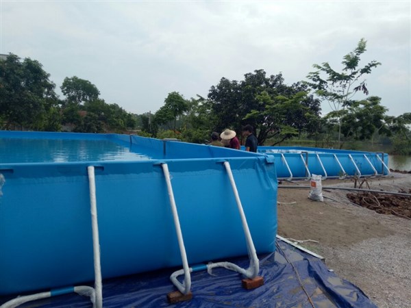 Bể bơi thông minh tại Hà Nội