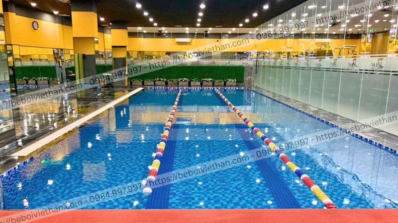 Thi Công Bể Bơi Hà Nội: Kinh Nghiệm Tránh Tốn Kém