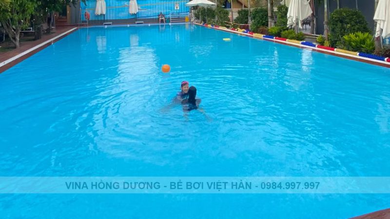 Nước Bể Bơi Nhanh Bẩn, Nhanh Xanh Là Do Đâu? Cách Xử Lý Hiệu Quả