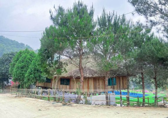 be-boi-thung-lung-ban-xoi-ba-vi-4