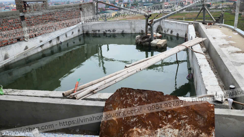 Thi Công Bể Bơi Trên Tầng Thượng Tại Hưng Yên