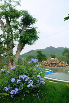 be-boi-quang-ninh